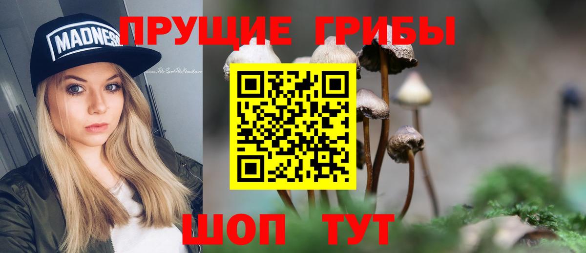 Псилоцибиновые грибы прущие грибы  Галлюциногенные грибы GOLDEN TEACHER  Железногорск  Вход с VPN 